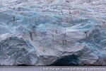 220710c_Nordenskioldbreen_08_N