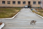 220711b_Pyramiden_066_N