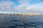 210914a_Jyplingane_12_N