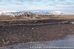 210914a_Jyplingane_25_N