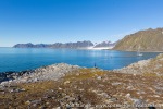 170731f_Kvedfjordbukta_001_N