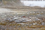 170731f_Kvedfjordbukta_079_N
