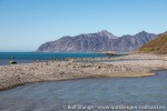 220718c_Kvedfjordbukta_044_N