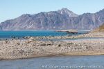 220718c_Kvedfjordbukta_058_N