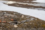 220531d_Engelskbukta_08_N