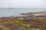 220811b_Phippsoya_06_N