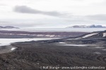 220812b_Carolusbukta_089_N