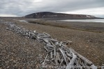 220813a_Vindbukta_009_N