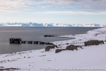 220506c_Colesbukta_026_N