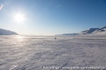 220325c_Reindalen_17_N