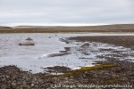 180812a_Von-Otteroya_005_N