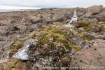 180812a_Von-Otteroya_015_N