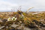 180812a_Von-Otteroya_180_N