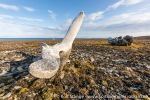 190813d_Von-Otteroya_06_N