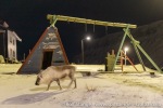 221231_Longyearbyen_046_N