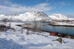 230425a_Bergsfjord_05_N