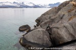 230428a_Hamn-i-Senja_10_N