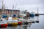 230429_Andenes_006_N