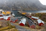 230502a_Nusfjord_31_N