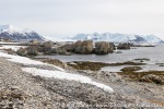 230607a_Eidembukta_25_N