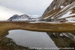 230603c_Gnaalodden_081_N