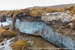 160531_Eidembukta_75_N
