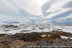 170530a_Eidembukta_041_N
