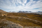 a9j_Eidembukta_21Aug14_038_N
