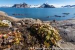 f3z_Treskelen_14Juli13_132_N