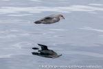 230531b_Isfjord_11_N