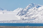 230601a_Forsbladodden_01_N