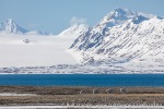 230601a_Forsbladodden_06_N