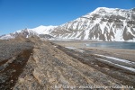 230601a_Forsbladodden_42_N