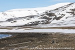 230601c_Maaseneset_35_N