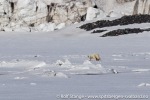 230602a_Fridtjovhamna_30_N