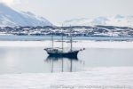 230602a_Fridtjovhamna_42_N