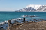 230602c_Ahlstrandodden_26_N