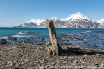 230602c_Ahlstrandodden_32_N