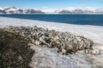 230602d_Bamsebu_09_N