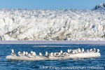 230602e_Recherchebreen_37_N