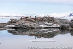 230603c_Gnaalodden_113_N
