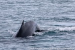 230603d_Hornsund_02_N