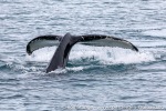 230603d_Hornsund_04_N