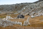 230604a_Hyttevika_17_N