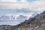 230604a_Hyttevika_37_N