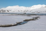 230605a_Engelskbukta_20_N