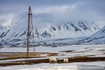 230605b_Ny-Alesund_29_N