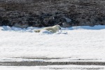 230606b_Gluudneset_41_N