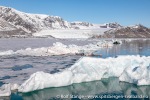 230606c_Kongsfjord_09_N
