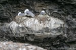 230712a_Buedelfjellet_041_D